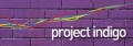 Project-indigo-header.jpg